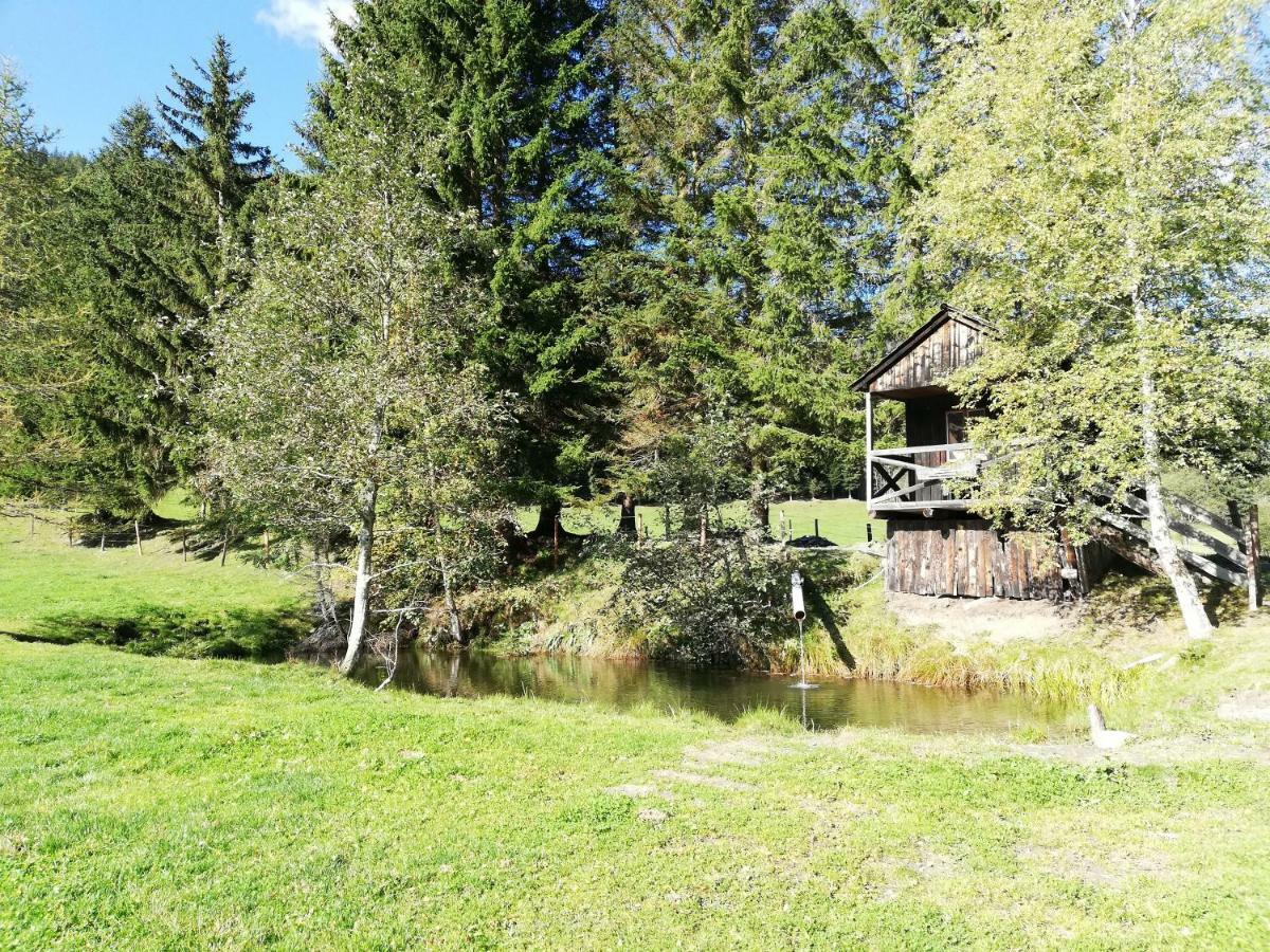 Villa Almland Hütte Pusterwald Exterior foto